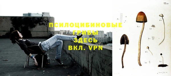 spice Армянск