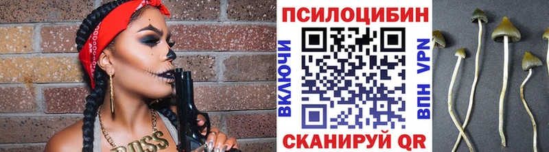 Псилоцибиновые грибы Psilocybine cubensis  Аркадак 